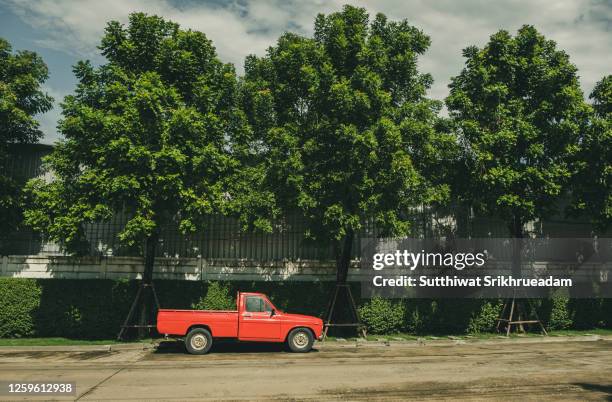 classic pickup truck against trees - old truck imagens e fotografias de stock