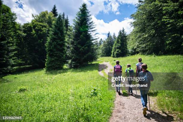 escursioni in famiglia nella beuatiful foresta di montagna - hiking foto e immagini stock