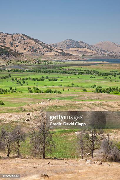 horse creek in east central california, sierra nevada, california, united states of america - foothills - fotografias e filmes do acervo