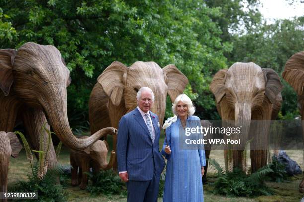 King Charles III and Queen Camilla attend the Animal Ball at Lancaster House to mark the 20th anniversary of wildlife conservation charity Elephant...