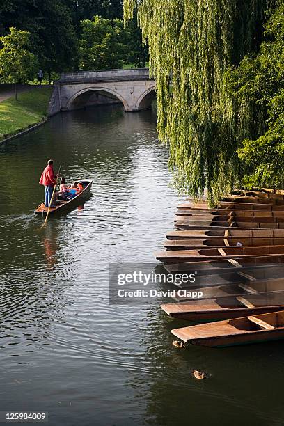 boat on river, cambridge, uk - punting stock-fotos und bilder