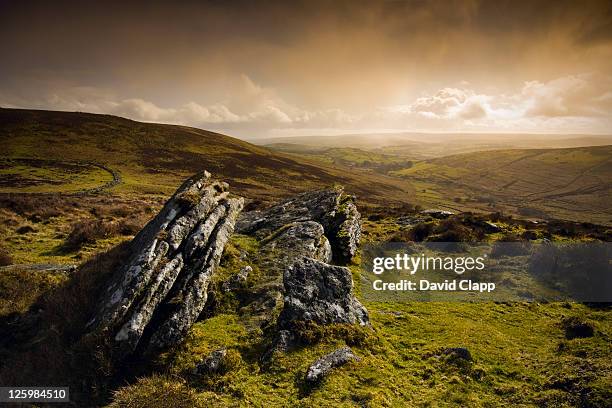 hookney tor, dartmoor, devon, england - saillie rocheuse photos et images de collection