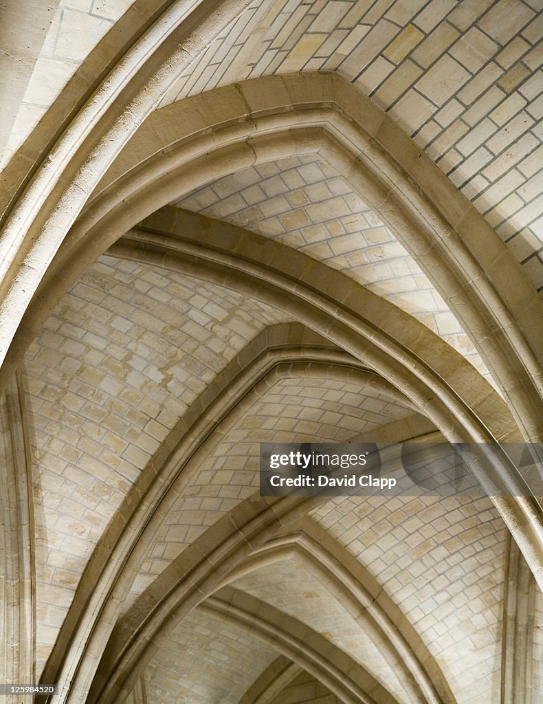 The Concierge, arched celing detail, Paris, France