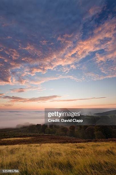 dawn breaks on a foggy morning on the east of dartmoor, devon, england - 巻積雲 ストックフォトと画像