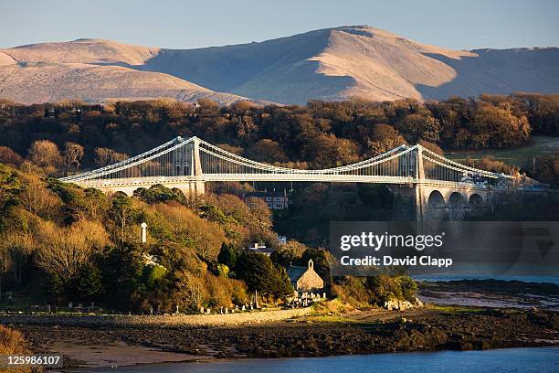 golden afternoon light at the menai bridge that spans the menai strait, the water that separates wales from the island of anglesey, north wales, uk - menai hängebrücke stock-fotos und bilder