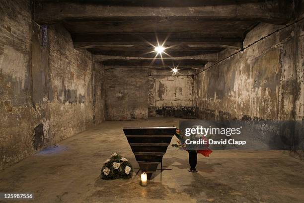 inside main gas chamber where millions of prisoners were executed in auschwitz concentration camp, poland - auschwitz stock pictures, royalty-free photos & images