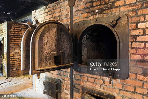 reconstructed crematorium ovens in gas chambers at auschwitz concentration camp, poland - krematorium bildbanksfoton och bilder
