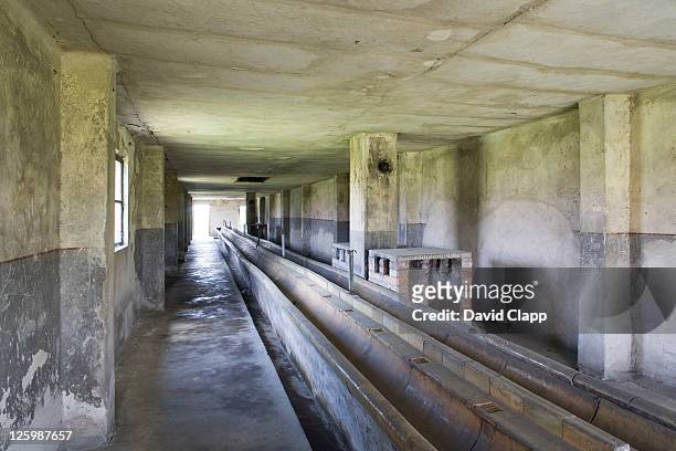 wash basins in wash house at birkenau, auschwitz concentration camp in poland - nazi concentration camp stock pictures, royalty-free photos & images