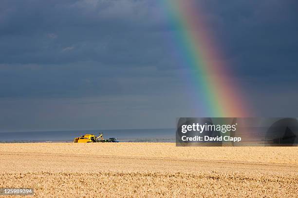 a combine harvester works as a rainbow forms over wheat fields in summer rain, east yorkshire, england, uk - haz de luz fotografías e imágenes de stock