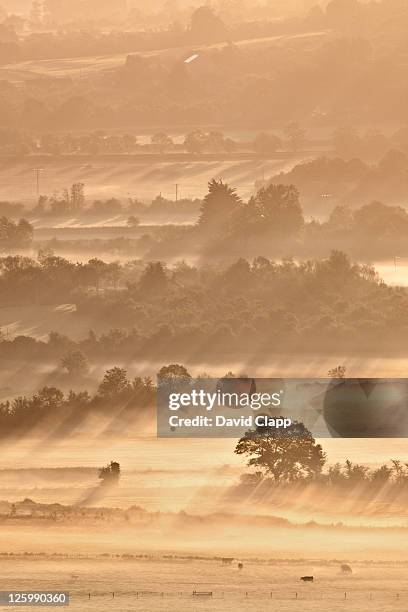 layers of mist and fog across somerset levels at glastonbury, somerset, england, uk - glastonbury england 個照片及圖片檔