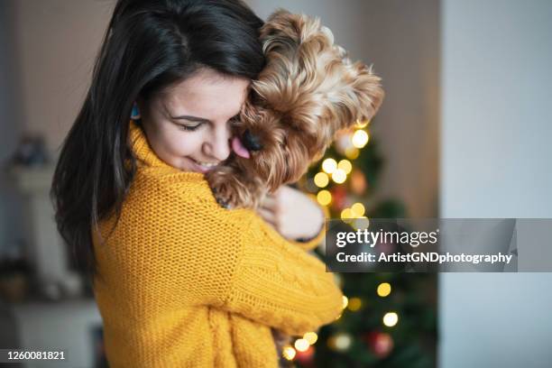 young woman and her puppy dog are cuddling next to the christmas tree - christmas puppy stock pictures, royalty-free photos & images