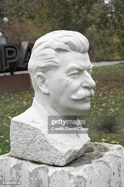 bust of stalin in the sculpture park, moscow, russia - stalin statue stock pictures, royalty-free photos & images