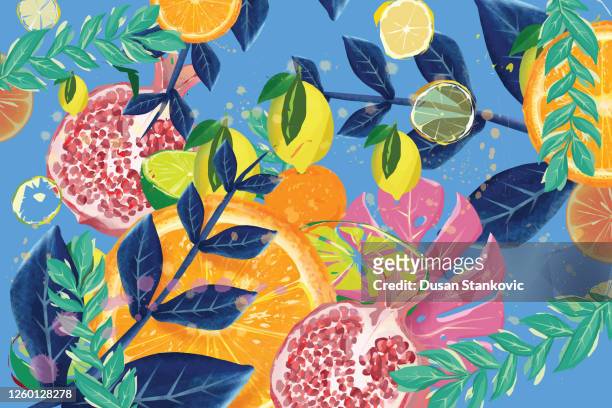 exotic summer fruit and tropical leaves background - tropical deciduous forest stock illustrations