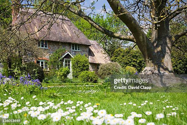 a traditional old thatched cottage and gardens in the village of lockeridge in wiltshire. - toit de chaume photos et images de collection