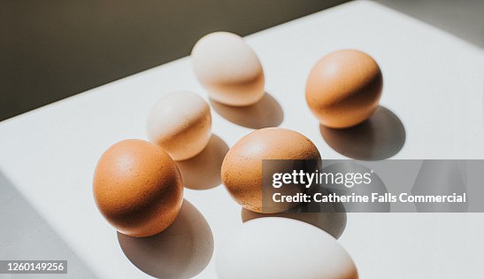Various Sized Eggs on a White Surface Casting Shadows Various Sized Eggs on a White Surface Casting Shadows