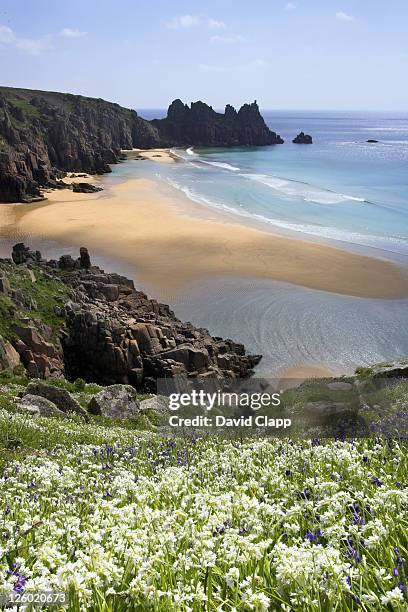 porthcurno beach at low tide with three cornered leak, porthcurno, cornwall, uk - lands end cornwall stock pictures, royalty-free photos & images