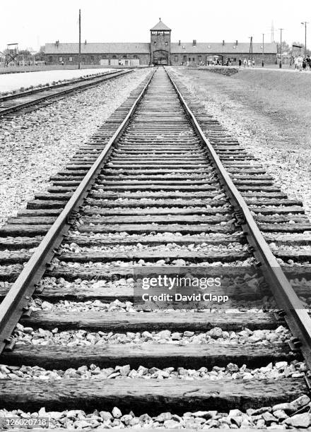 view of birkenau entrance and railway line that brought prisoners in, auschwitz, poland - auschwitz stock-fotos und bilder