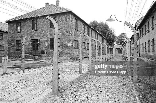 view between fencing to prisoner block, birkenau concentration camp, auschwitz, poland - auschwitz stock pictures, royalty-free photos & images