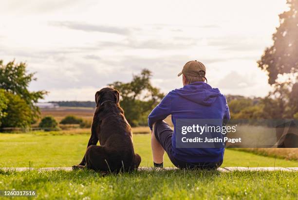 man and his dog take in the view - loyalität stock-fotos und bilder