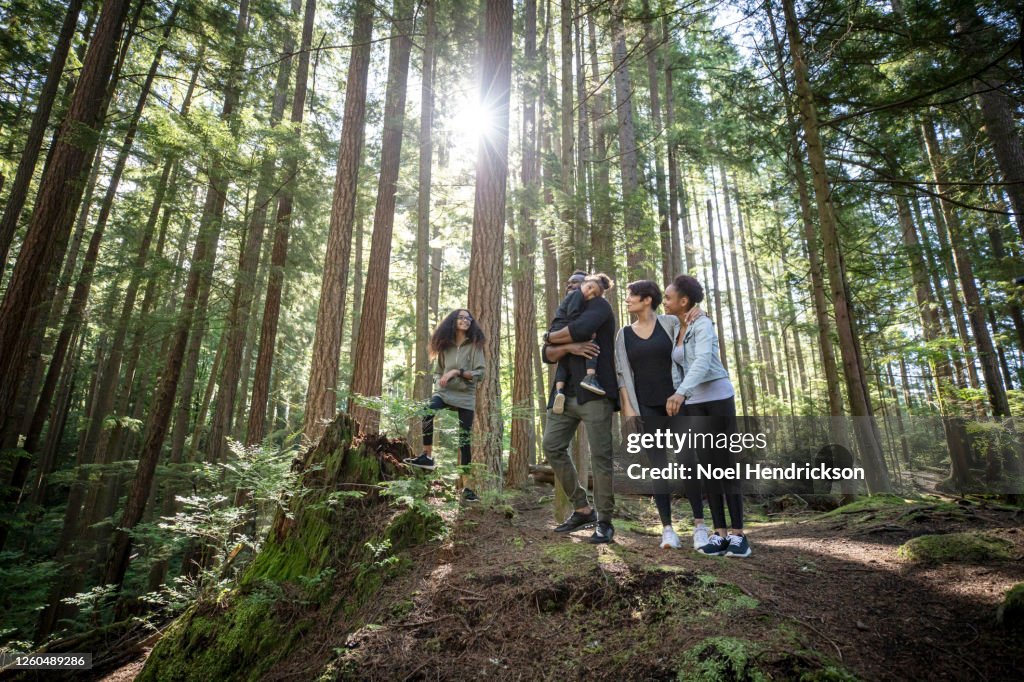 Family stopping to take in the view