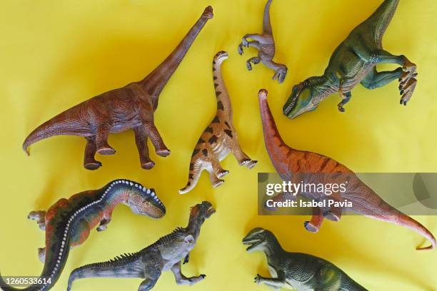 toy dinosaurs over yellow background. flat lay - animal body stock pictures, royalty-free photos & images