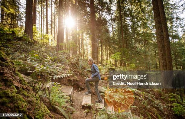 female hiker climbing steps on a forest trail - tierra salvaje fotografías e imágenes de stock