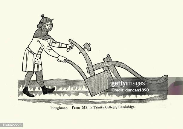 medieval ploughman, farmer ploughing a field - farmer stock illustrations