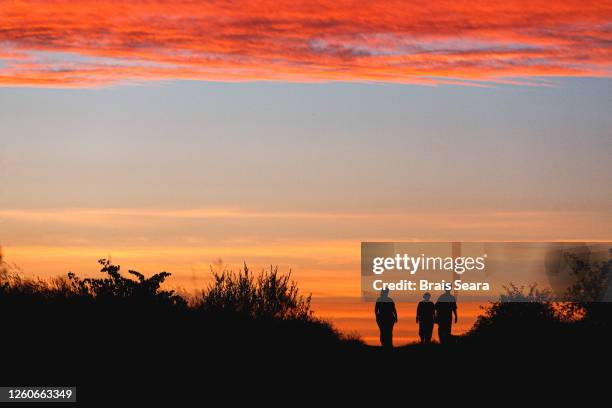 silhouette family walking on field during sunset - zamora stock-fotos und bilder