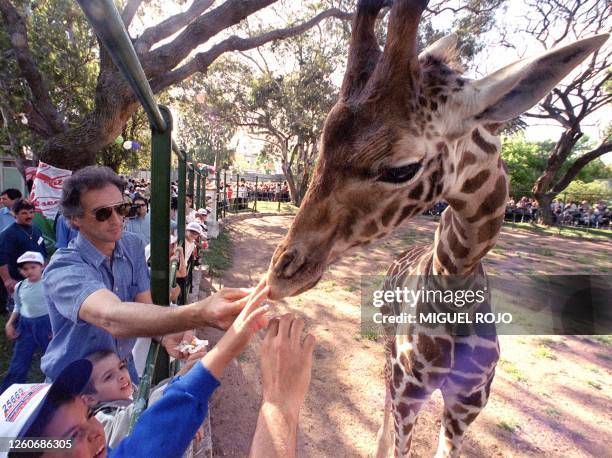 Children and adults celebrate the first birthday of Lucero, the first giraffe born in captivity in Uruguay in Montevideo, 26 October 1999. Cientos de...
