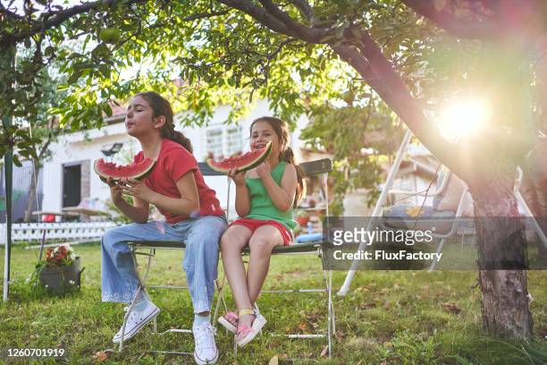 playful sisters enjoying a watermelon and spitting seeds in the back yard - spats stock pictures, royalty-free photos & images