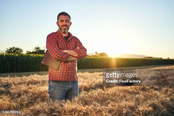 cheerful and satisfied agronomist in a wheat field - plaid shirt stock pictures, royalty-free photos & images