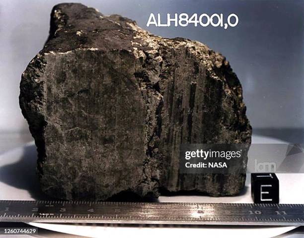 This undated NASA image released 19 March 1999 shows a 4.5 billion-year-old rock, labeled meteorite ALH84001, believed to have once been a part of...