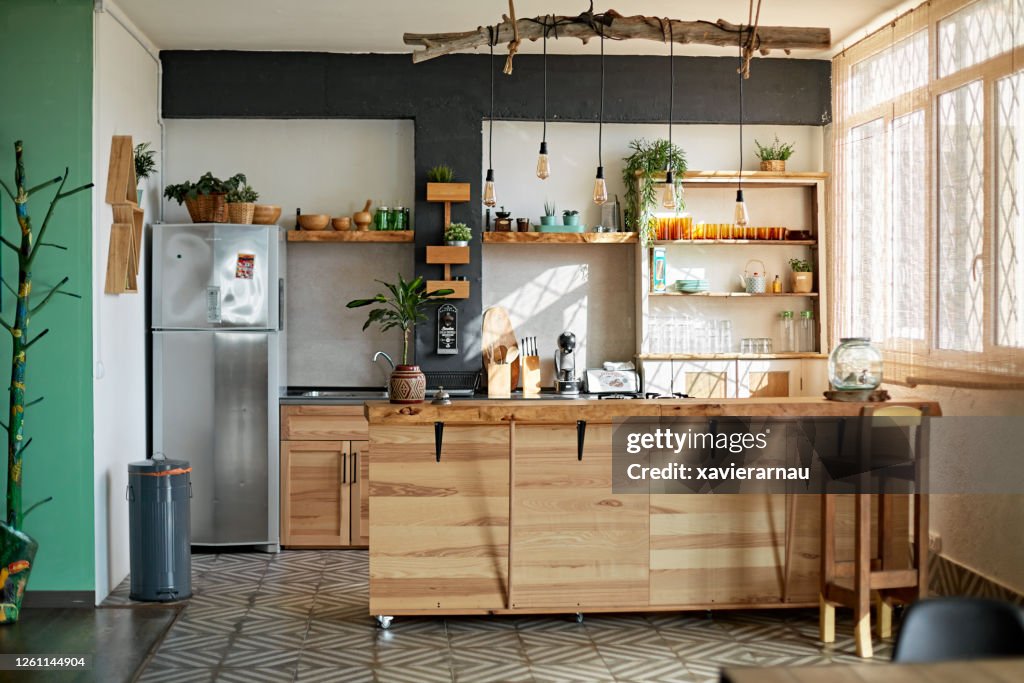 Apartment Kitchen in Modern Rustic Style