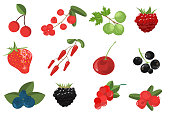 Set branches berries and leaves. Gooseberries, cranberries, blueberries, barberries, currants, cherries, strawberries, blackberries, raspberries, acai, grapes, blackberry.