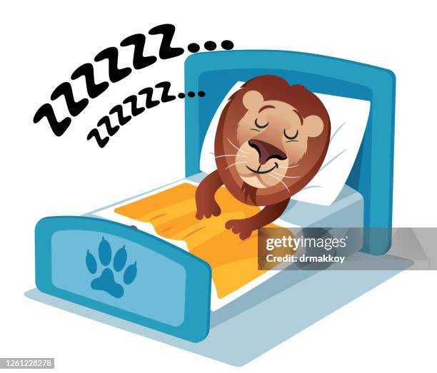 29 Ilustraciones de Leones Durmiendo - Getty Images 29 Ilustraciones de Leones Durmiendo - Getty Images
