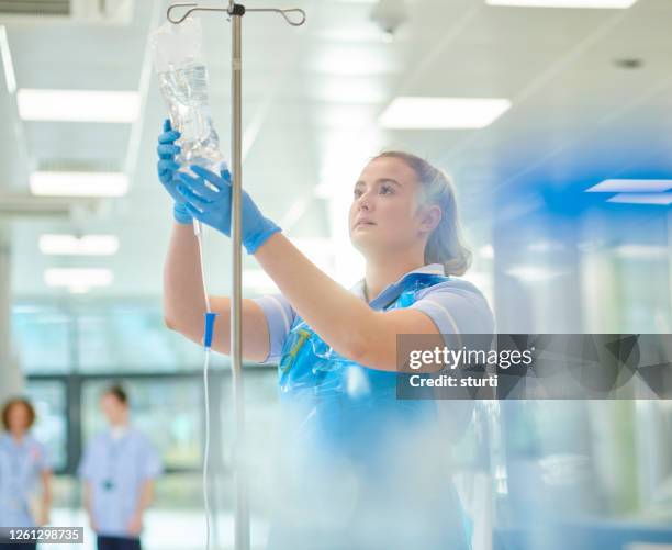 young nurse checks iv drip - hospital uk stock pictures, royalty-free photos & images