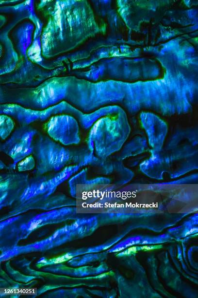 brightly coloured paua shell patterns. - abalone ストックフォトと画像