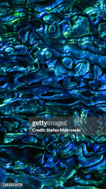 Paua Shell Pattern Vector 12 Paua Shell Pattern Stock Photos, High-Res Pictures, and Images ...