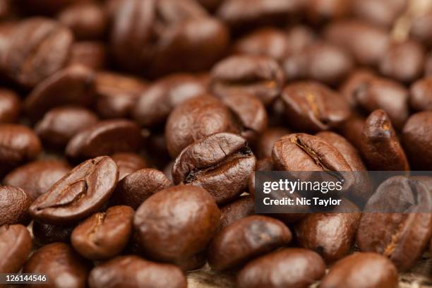 coffee beans macro - bentonville ar ストックフォトと画像