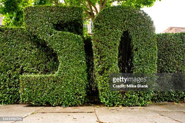 number 50 cut and carved into hedge outside residential house on public street - topiary stock pictures, royalty-free photos & images