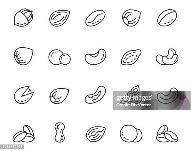 stockillustraties, clipart, cartoons en iconen met noten en zaden pictogram reeks - amandel noot