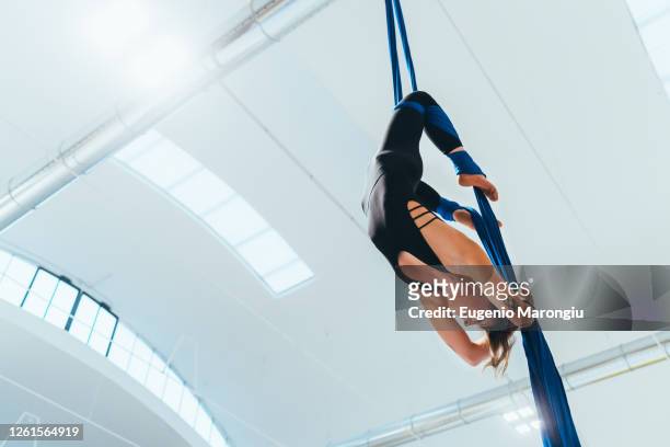 female acrobat aerialist practicing, suspended from a length of blue silk. - luftakrobat stock-fotos und bilder