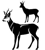 roe deer black and white vector silhouette and outline