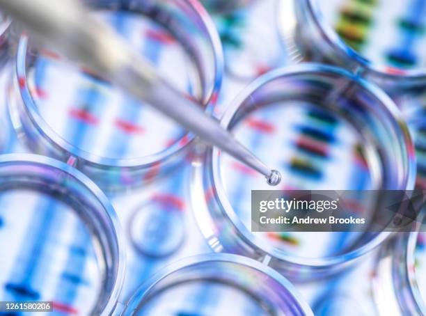 scientist pipetting a sample for genetic testing with a background of a dna sequence - scientific research stock pictures, royalty-free photos & images