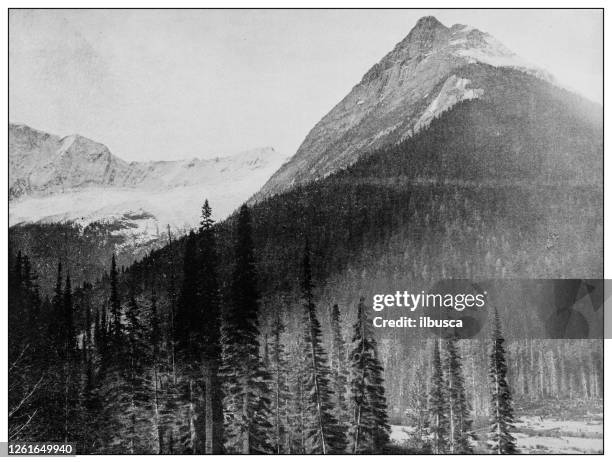 antique black and white photo: ross peak and glacier, british columbia - columbia glacier stock illustrations
