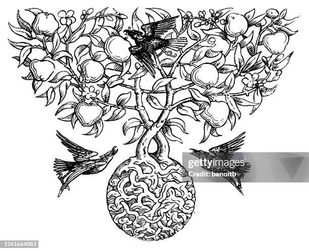 birds picking apples - apple tree stock illustrations