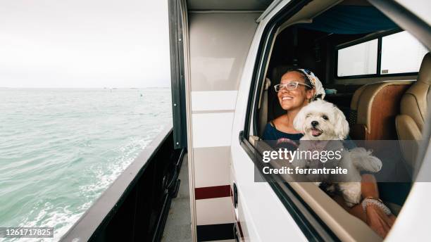 family on rv road trip - maltese dog stock pictures, royalty-free photos & images