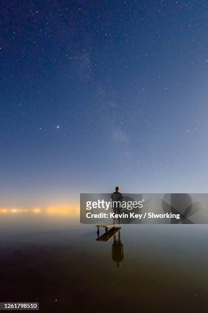 man standing on diving board in lake at night - ボンベイビーチ ストックフォトと画像