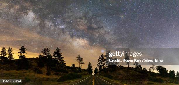 highway to heaven - pinus jeffreyi stock pictures, royalty-free photos & images