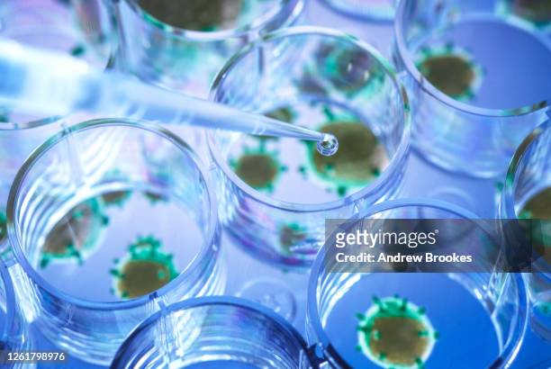 scientist pipetting a experimental vaccine into a multi well plate with the virus in the background. - malattia infettiva foto e immagini stock